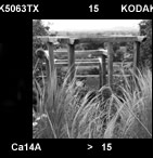 oak structures