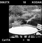 lansdcaped garden